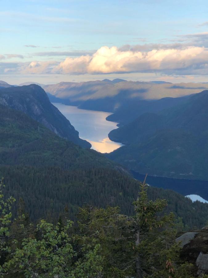 Dalen I Telemark Holiday Home With Garden Exteriör bild